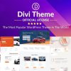 Divi-Theme-viskill