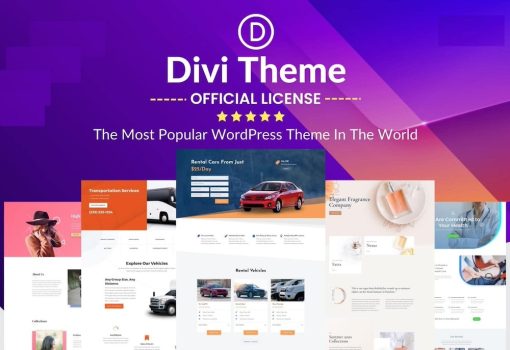 Divi-Theme-viskill