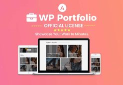 Wp-Portfolio-Astra-viskill