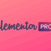 Elementor-Pro